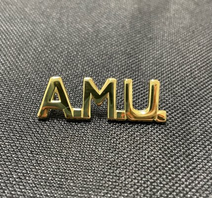 AMU Collar Brass